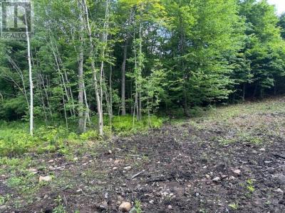 4 MCNAUGHTS ROAD, Seguin, Ontario P2A 0B2, Canada