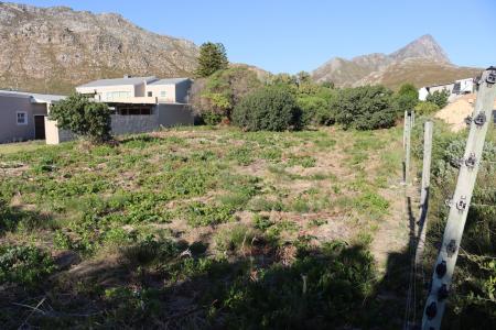 Rooi Els, Western Cape, 南非