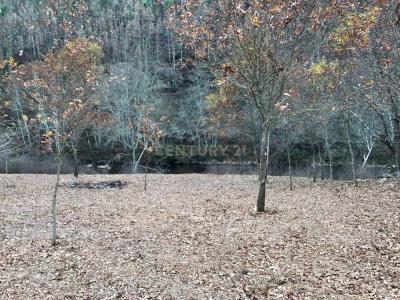 Arouca, Aveiro 4540-063, Portugal