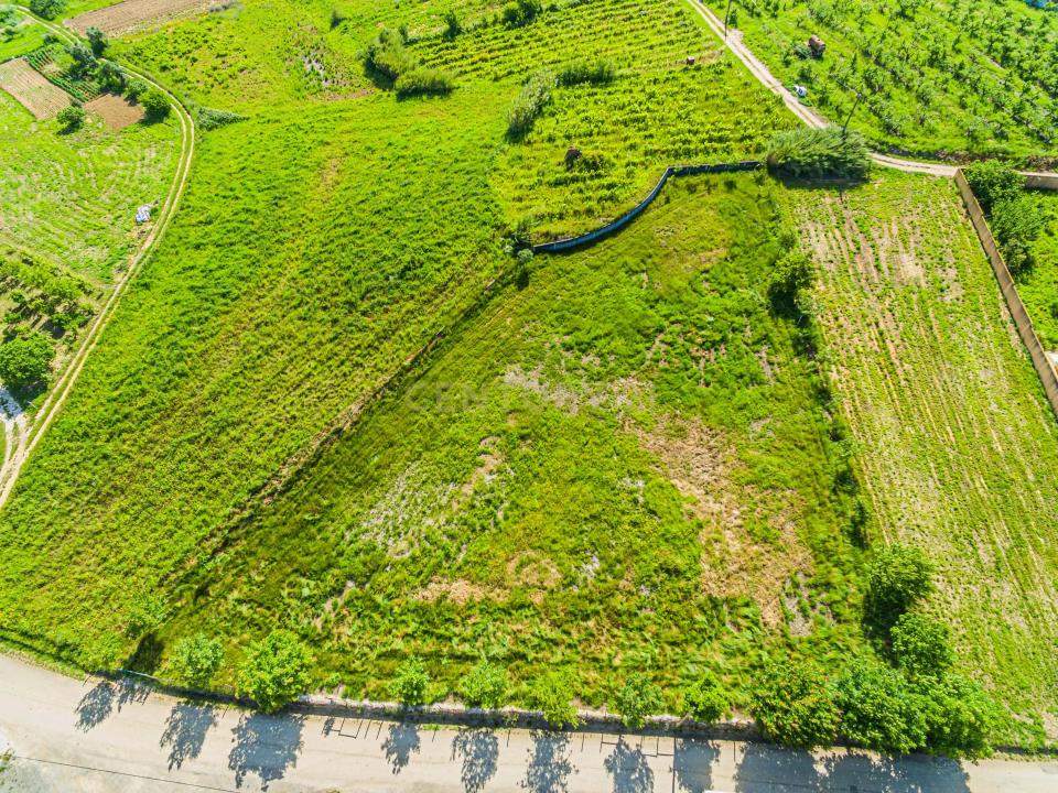 Cadaval, Lisbon 2550-500, Portugal