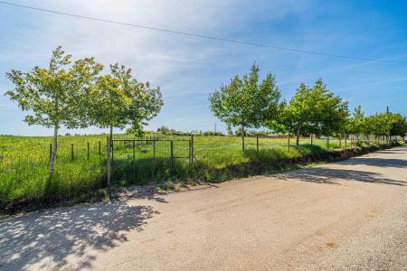 Cadaval, Lisbon 2550-500, Portugal