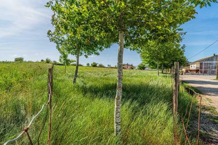 Cadaval, Lisbon 2550-500, Portugal