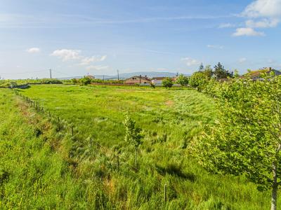 Cadaval, Lisbon 2550-500, Portugal