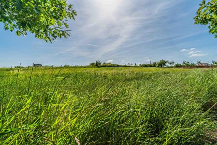 Cadaval, Lisbon 2550-500, Portugal