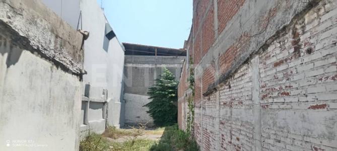 Tecoman, Colima 28100, Meksyk