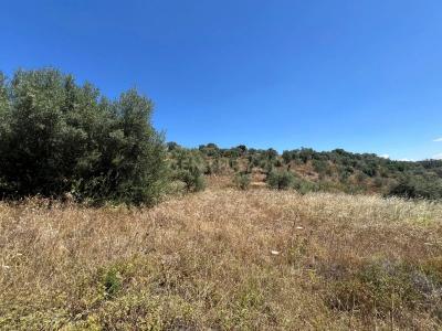 Cáceres, Extremadura 10181, España