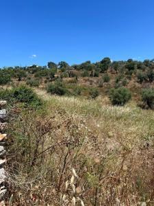Cáceres, Extremadura 10181, España