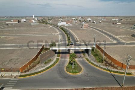 Sol de Paracas , Pisco, Ica 00001, Peru