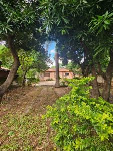 Jardin de Oro 0, Luque, Central 00001, Paraguay