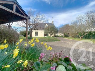 Sarzeau, Bretagne 56370, France