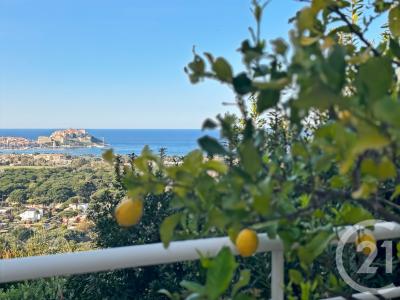Calvi, Corse 20260, 法国