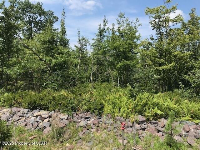 317R BLUE MOUNTAIN Court, Hazle Twp, 宾夕法尼亚州 18202, 美国