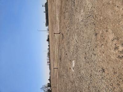 1311 Westridge Road, Carlsbad, 新墨西哥州 88220, 美國