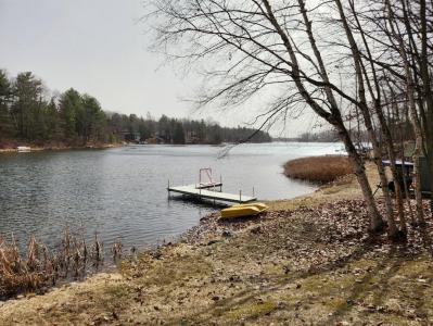 7461 White Birch Drive, Farwell, Michigan 48622, USA