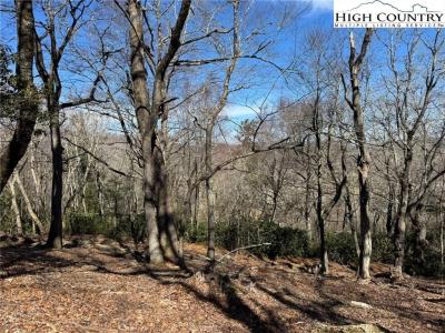 Lot 240 Thunder Wood Trail, Blowing Rock, NC 28605, USA