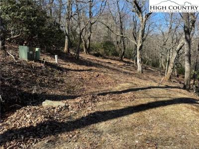 Lot 240 Thunder Wood Trail, Blowing Rock, צפון קרוליינה 28605, ארצות הברית של אמריקה 