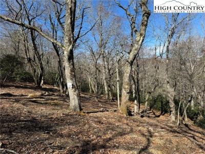 Lot 240 Thunder Wood Trail, Blowing Rock, צפון קרוליינה 28605, ארצות הברית של אמריקה 