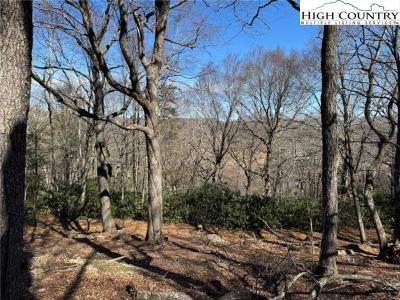 Lot 240 Thunder Wood Trail, Blowing Rock, צפון קרוליינה 28605, ארצות הברית של אמריקה 