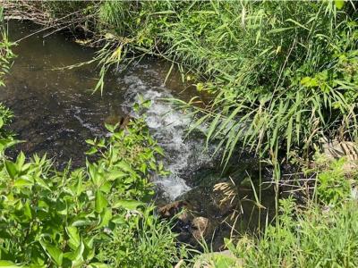 Lot C 113th Street, Ashby, Minnesota 56309, Estados Unidos