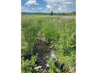 Lot C 113th Street, Ashby, Minnesota 56309, Estados Unidos