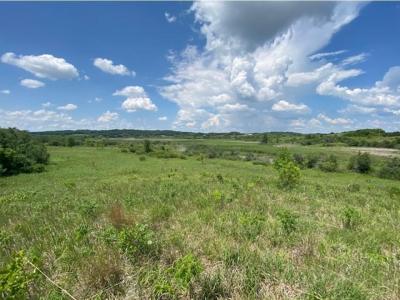 Lot C 113th Street, Ashby, Minnesota 56309, Estados Unidos