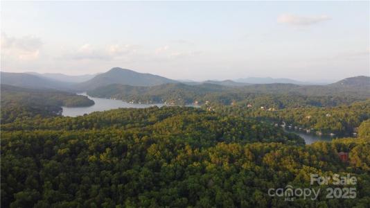 Lot 59 Bear Cliff Way, Lake Lure, 노스 캐롤라이나 28746, 미국