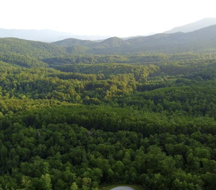 Lot 59 Bear Cliff Way, Lake Lure, ノースカロライナ 28746, アメリカ合衆国