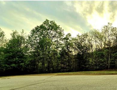 Lot 59 Bear Cliff Way, Lake Lure, ノースカロライナ 28746, アメリカ合衆国