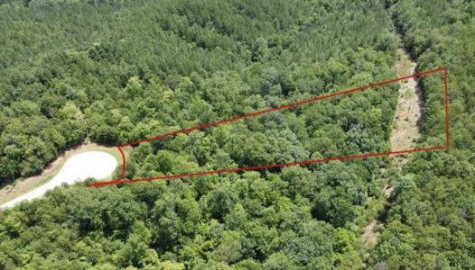 Lot 59 Bear Cliff Way, Lake Lure, ノースカロライナ 28746, アメリカ合衆国