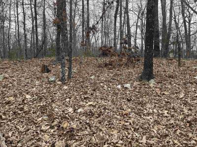 TBD Kamiakin, Cherokee Village, Arkansas 72529, HOA KỲ