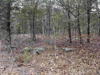 TBD San Ildefonso Trace, Cherokee Village, Arkansas 72529, HOA KỲ