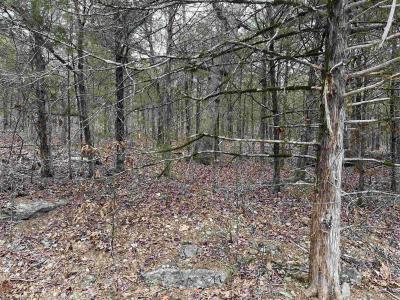 TBD San Ildefonso Trace, Cherokee Village, Арканзас 72529, Соединенные Штаты