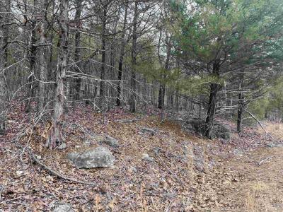 TBD San Ildefonso Trace, Cherokee Village, Арканзас 72529, Соединенные Штаты
