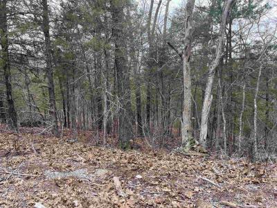 TBD San Ildefonso Trace, Cherokee Village, Арканзас 72529, Соединенные Штаты