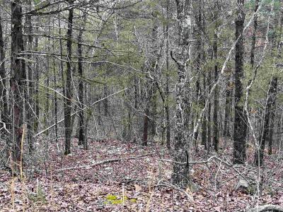 TBD San Ildefonso Trace, Cherokee Village, Арканзас 72529, Соединенные Штаты