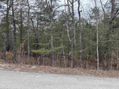 TBD Isleta, Cherokee Village, Arkansas 72529, Estados Unidos