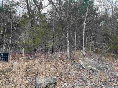 TBD Isleta, Cherokee Village, Arkansas 72529, Estados Unidos