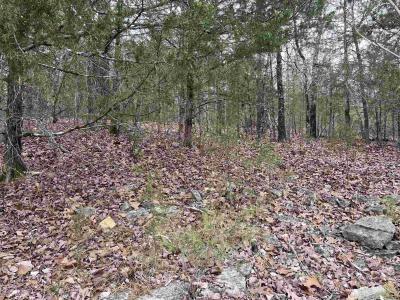 TBD Isleta Drive, Cherokee Village, Arkansas 72529, HOA KỲ