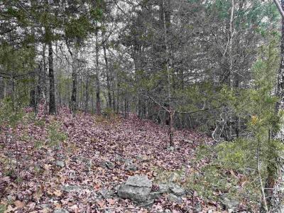 TBD Isleta Drive, Cherokee Village, Арканзас 72529, Соединенные Штаты