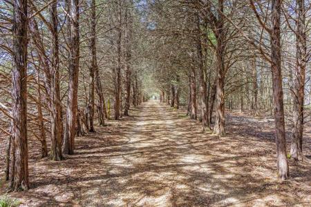 1393 County Road 2250, Ivanhoe, Texas 75447
