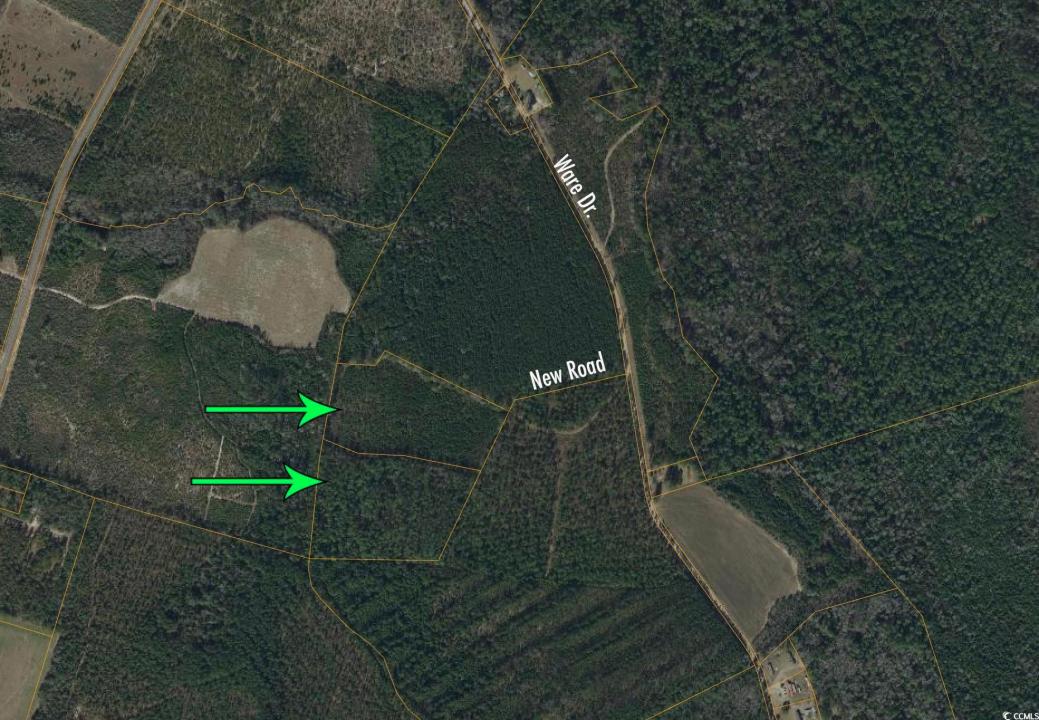 8862 Ware Dr., Nichols, Carolina Del Sur 29581, Estados Unidos