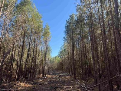 8862 Ware Dr., Nichols, Carolina Del Sur 29581, Estados Unidos