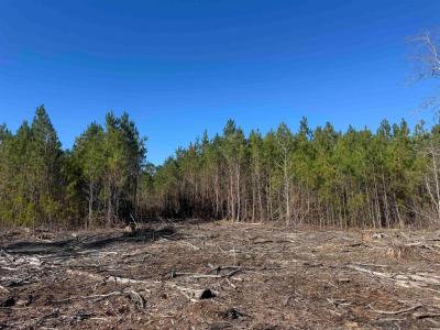 8862 Ware Dr., Nichols, Carolina Del Sur 29581, Estados Unidos