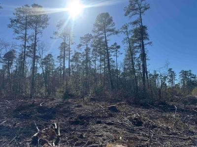 8862 Ware Dr., Nichols, Carolina Del Sur 29581, Estados Unidos