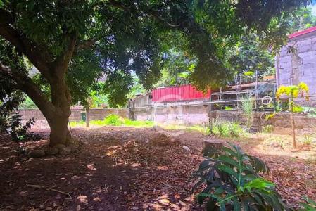 Maison de 4 pièces, Carbet, Saint-Pierre, Martinique