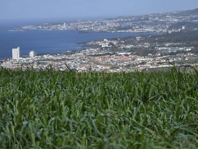 Lagoa, São Miguel 9560-501, Portugal