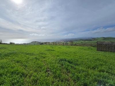Lagoa, São Miguel Island 9560-501, Portugal