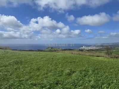 Lagoa, São Miguel Island 9560-501, Portugal