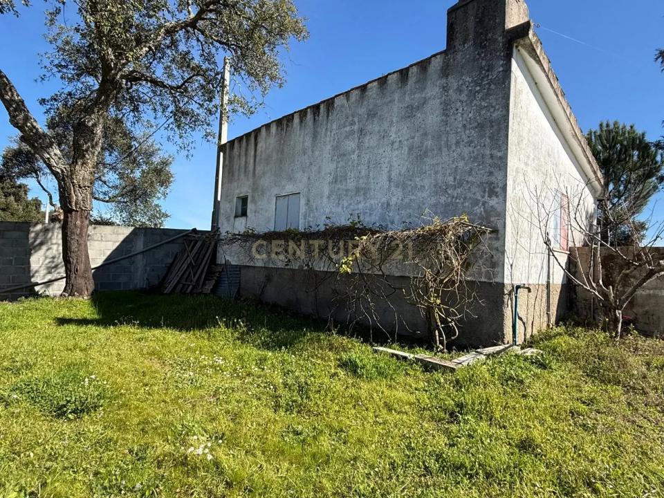 Castelo Branco, Castelo Branco 6000, Portugal