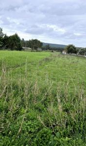 Nazaré, レイリア 2450-303, ポルトガル